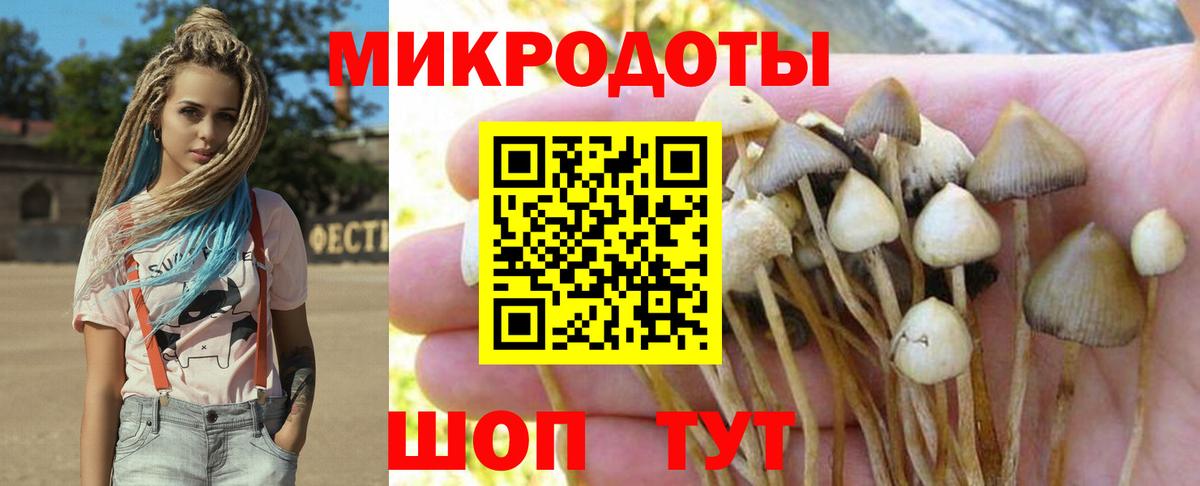 Псилоцибиновые грибы GOLDEN TEACHER  Вход с VPN  Бутурлиновка  Псилоцибиновые грибы MAGIC MUSHROOMS 